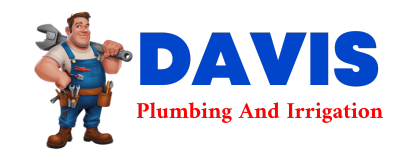 Trusted plumber in WILLIS